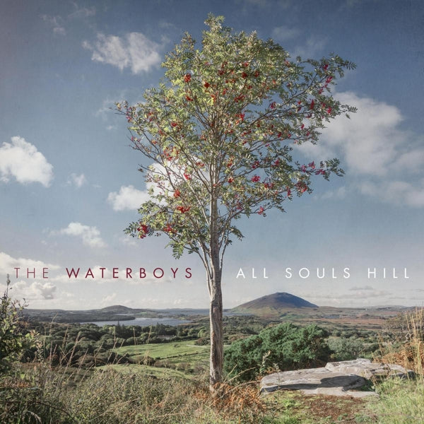  |  Vinyl LP | Waterboys - All Souls Hill (LP) | Records on Vinyl