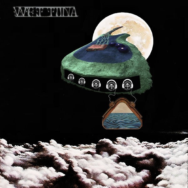 Wet Tuna - Water Weird  |  Vinyl LP | Wet Tuna - Water Weird  (LP) | Records on Vinyl