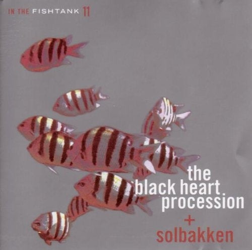 Black Heart Procession/So - In The Fishtank |  Vinyl LP | Black Heart Procession/So - In The Fishtank (LP) | Records on Vinyl