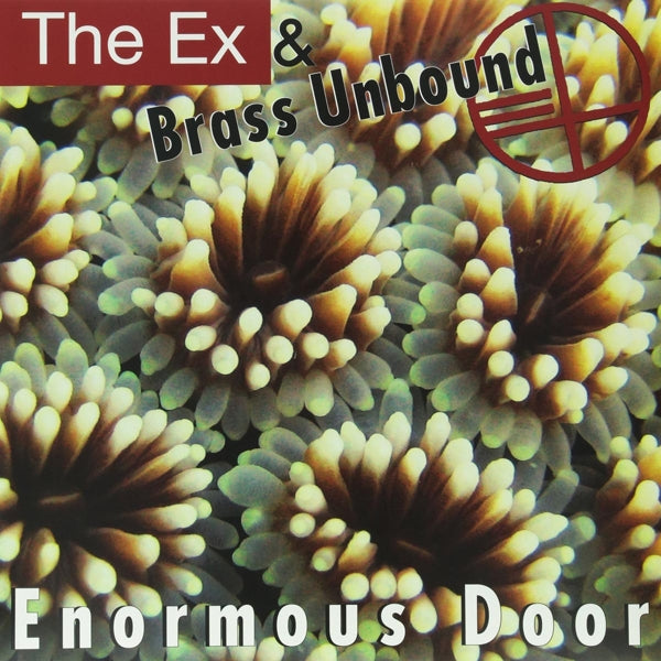 Ex & Brass Unbound - Enormous Door |  Vinyl LP | Ex & Brass Unbound - Enormous Door (LP) | Records on Vinyl