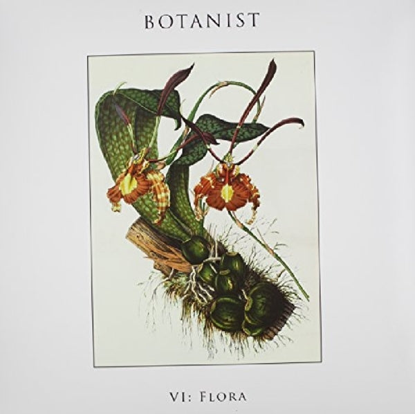  |  Vinyl LP | Botanist - Vi: Flora (LP) | Records on Vinyl
