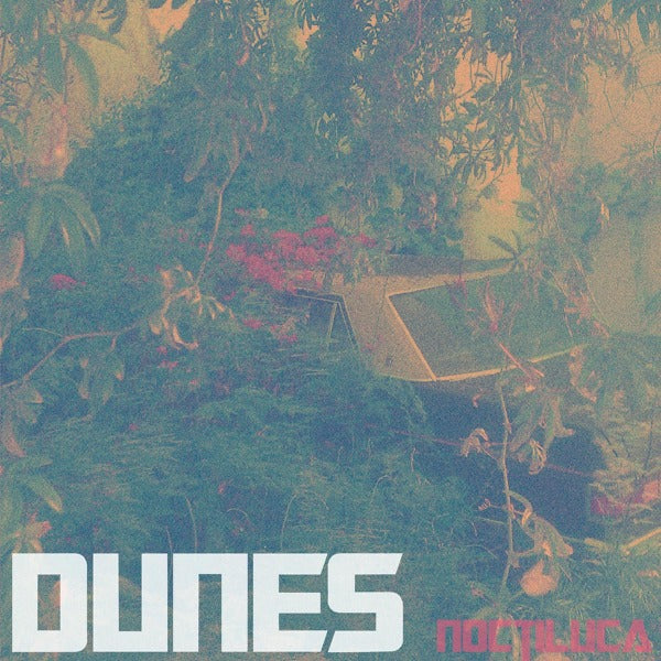 Dunes - Noctiluca |  Vinyl LP | Dunes - Noctiluca (LP) | Records on Vinyl