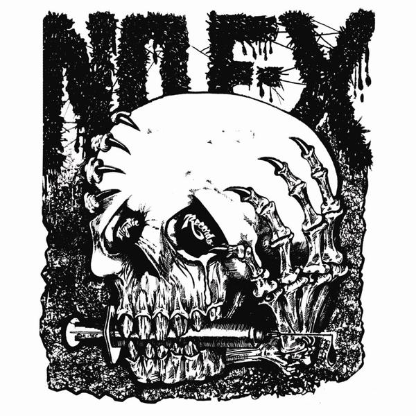 Nofx - Maximum Rock N Roll |  Vinyl LP | Nofx - Maximum Rock N Roll (LP) | Records on Vinyl