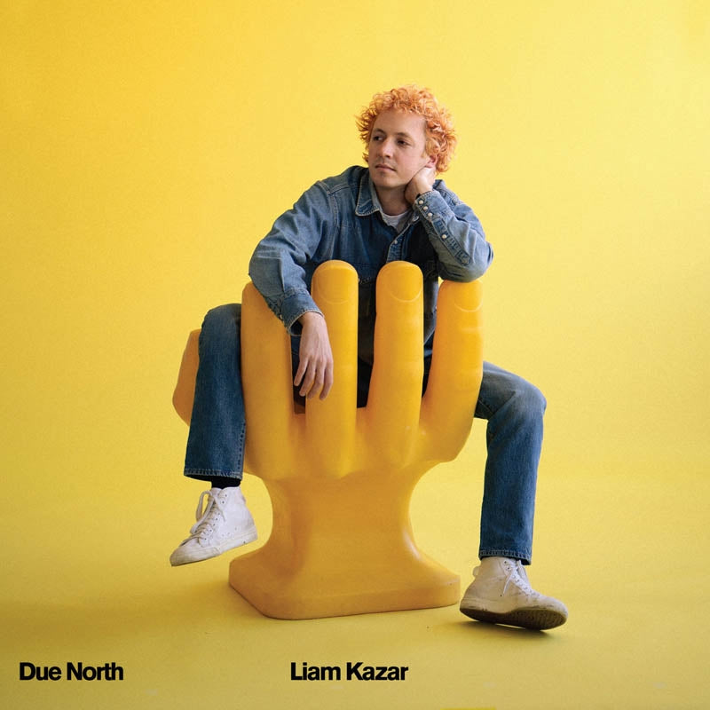  |  Vinyl LP | Liam Kazar - Due North (LP) | Records on Vinyl