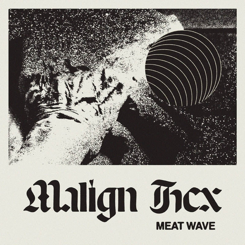  |  Vinyl LP | Meat Wave - Malign Hex (LP) | Records on Vinyl
