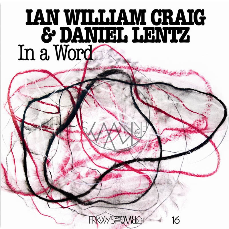  |  Vinyl LP | Ian William/Daniel Lentz Craig - In a World (LP) | Records on Vinyl