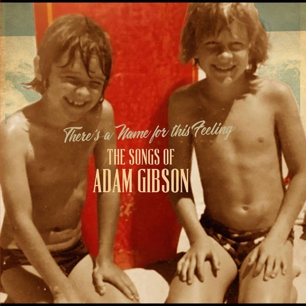 Adam Gibson - Songs Of Adam Gibson |  Vinyl LP | Adam Gibson - Songs Of Adam Gibson (2 LPs) | Records on Vinyl