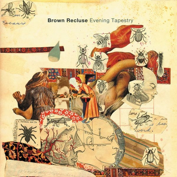  |  Vinyl LP | Brown Recluse - Evening Tapestry (LP) | Records on Vinyl