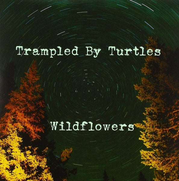  |  7" Single | Trampled By Turtles - Wildflowers (Single) | Records on Vinyl