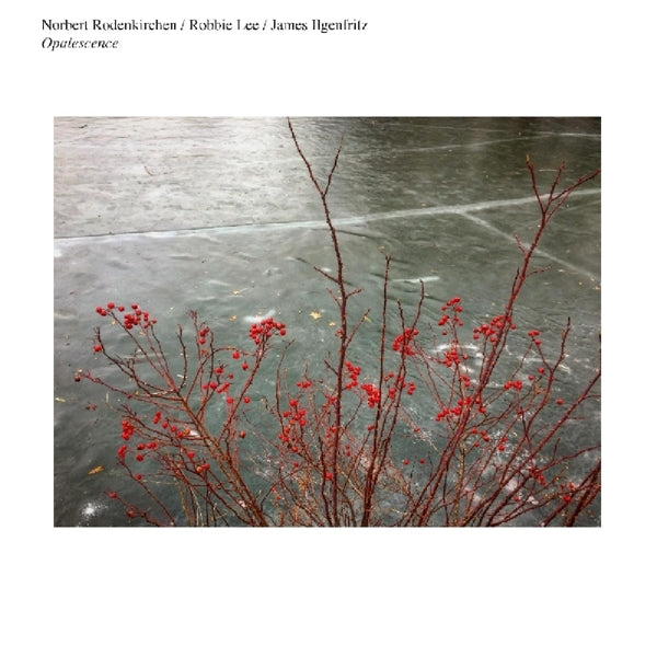  |  Vinyl LP | Norbert Rodenkirchen - Opalescence (LP) | Records on Vinyl