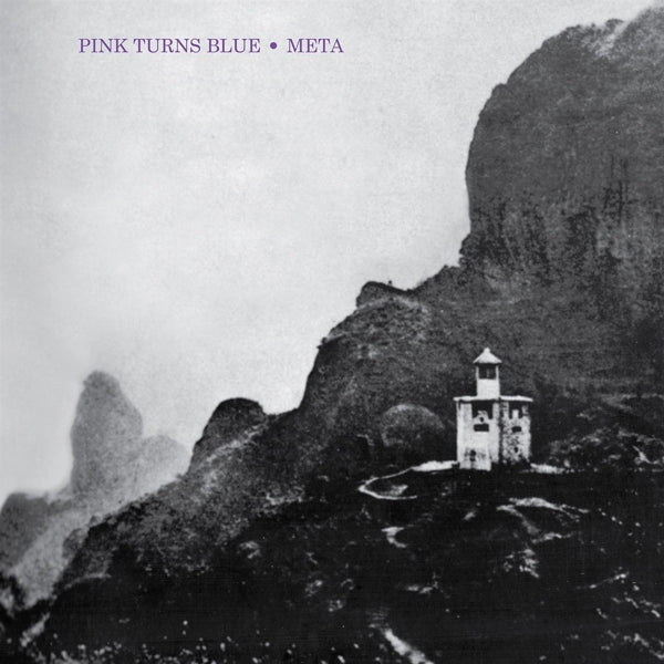  |  Vinyl LP | Pink Turns Blue - Meta (LP) | Records on Vinyl