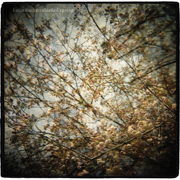 Horse Feathers - Thistled Spring |  Vinyl LP | Horse Feathers - Thistled Spring (LP) | Records on Vinyl