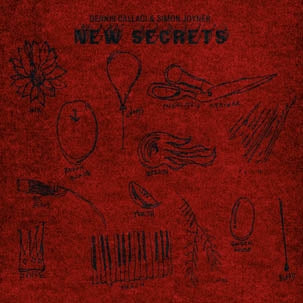 Simon Joyner - New Secrets |  Vinyl LP | Simon Joyner - New Secrets (LP) | Records on Vinyl