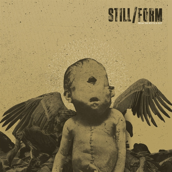  |  Vinyl LP | Still/Form - From the Rot is the Gift (LP) | Records on Vinyl