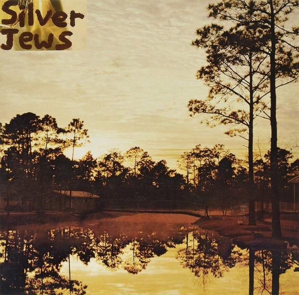  |  Vinyl LP | Silver Jews - Starlite Walker (LP) | Records on Vinyl