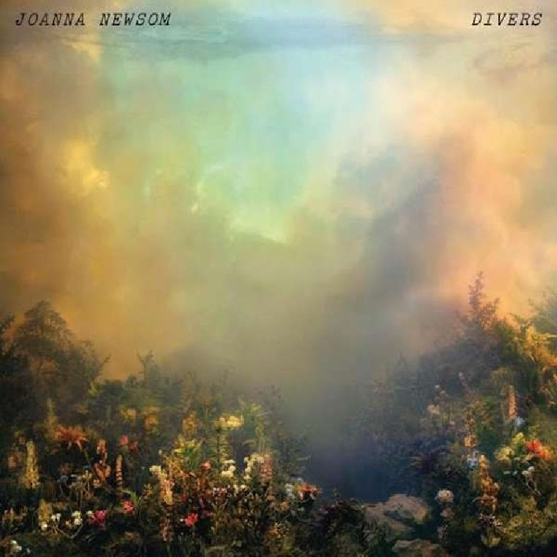 Joanna Newsom - Divers |  Vinyl LP | Joanna Newsom - Divers (2 LPs) | Records on Vinyl