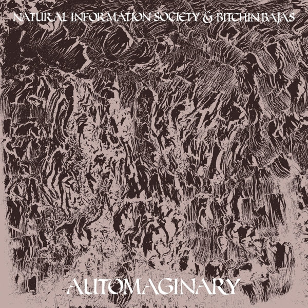 Natural Information Socie - Automaginary |  Vinyl LP | Natural Information Socie - Automaginary (LP) | Records on Vinyl