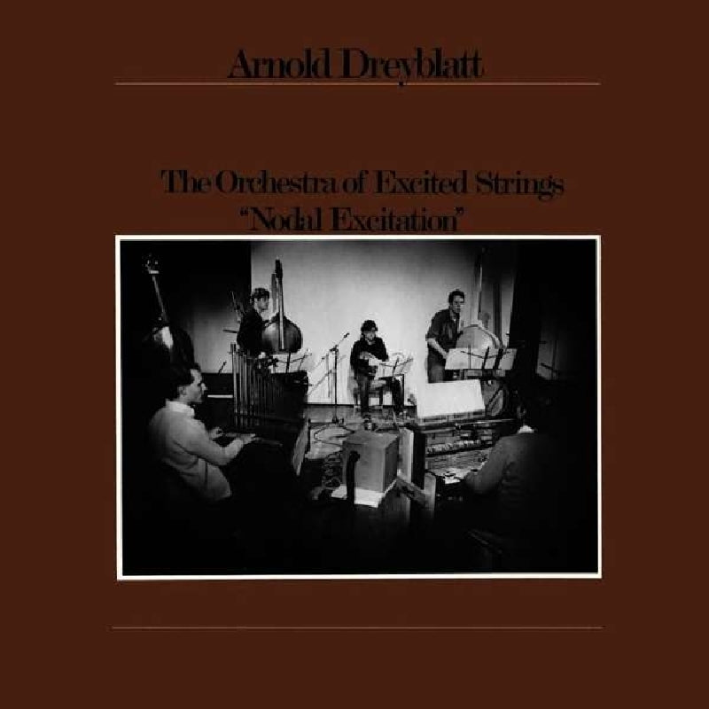 Arnold Dreyblatt - Nodal Excitation |  Vinyl LP | Arnold Dreyblatt - Nodal Excitation (LP) | Records on Vinyl