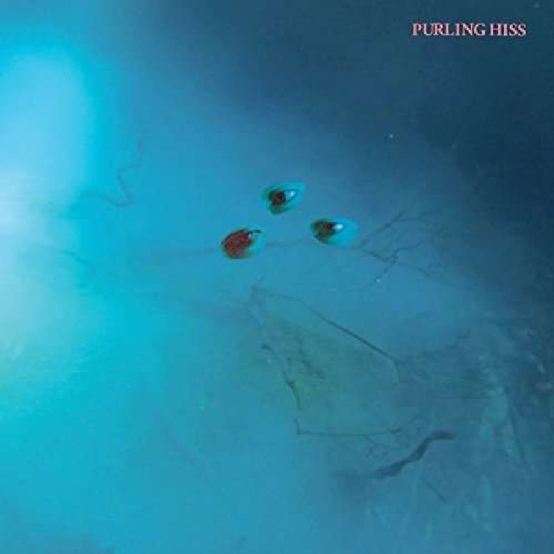 Purling Hiss - High Bias |  Vinyl LP | Purling Hiss - High Bias (LP) | Records on Vinyl