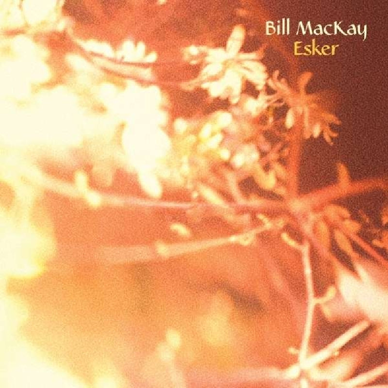 Bill Mackay - Esker |  Vinyl LP | Bill Mackay - Esker (LP) | Records on Vinyl