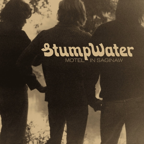 Stumpwater - Motel In Saginaw  |  Vinyl LP | Stumpwater - Motel In Saginaw  (2 LPs) | Records on Vinyl