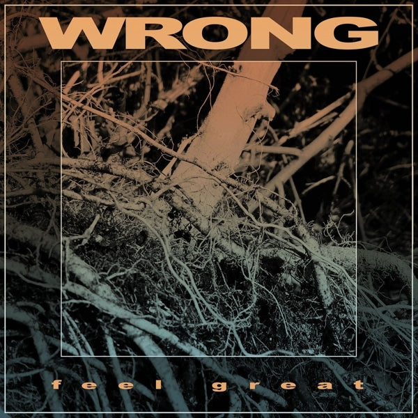 Wrong - Feel Great |  Vinyl LP | Wrong - Feel Great (LP) | Records on Vinyl