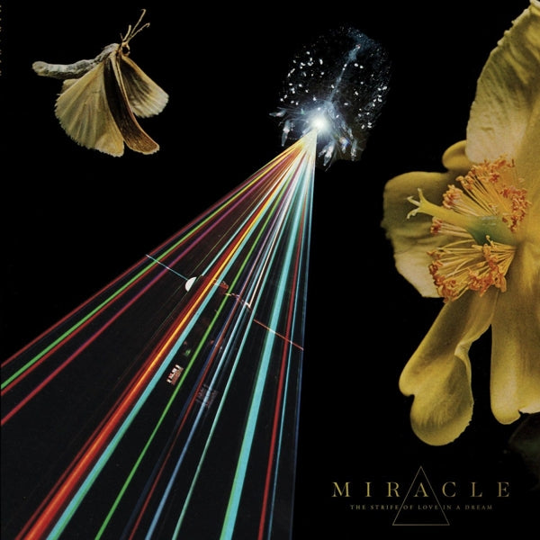 Miracle - Strife Of Love In A Dream |  Vinyl LP | Miracle - Strife Of Love In A Dream (LP) | Records on Vinyl