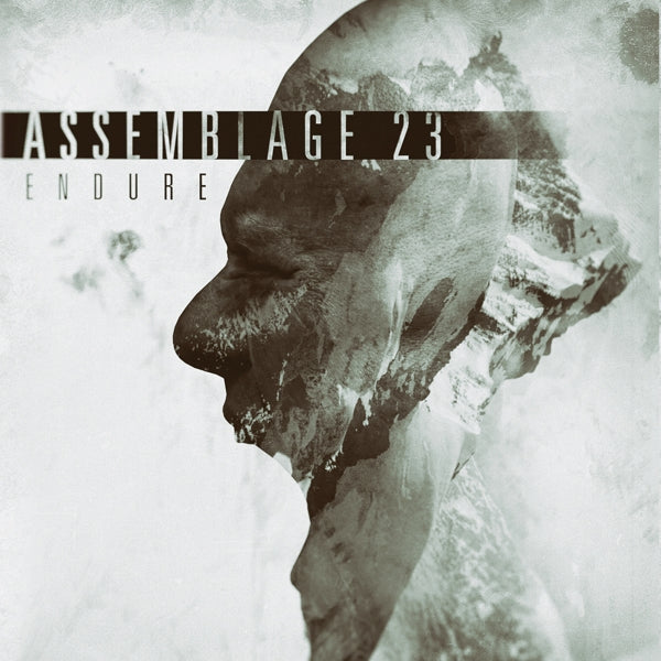 Assemblage 23 - Endure  |  Vinyl LP | Assemblage 23 - Endure  (LP) | Records on Vinyl
