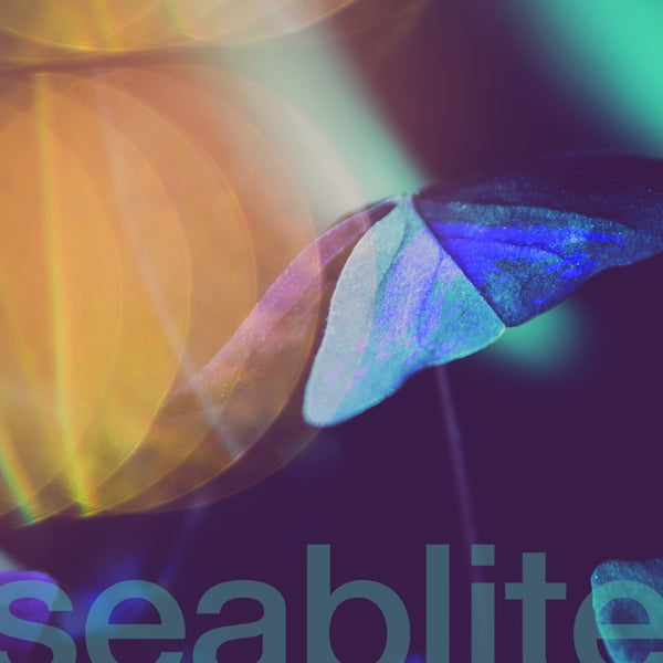  |  7" Single | Seablite - Breadcrumbs (Single) | Records on Vinyl