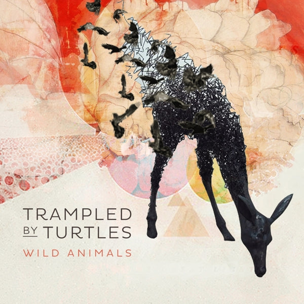 Trampled By Turtles - Wild Animals |  Vinyl LP | Trampled By Turtles - Wild Animals (LP) | Records on Vinyl