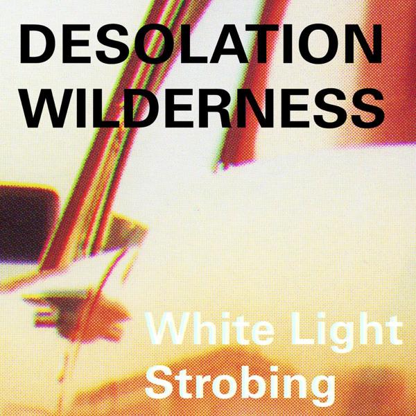 Desolation Wilderness - White Light Strobing |  Vinyl LP | Desolation Wilderness - White Light Strobing (LP) | Records on Vinyl