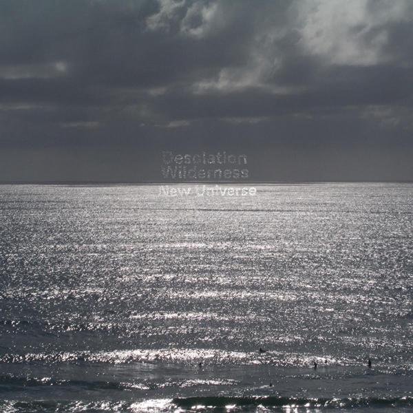 Desolation Wilderness - New Universe |  Vinyl LP | Desolation Wilderness - New Universe (LP) | Records on Vinyl