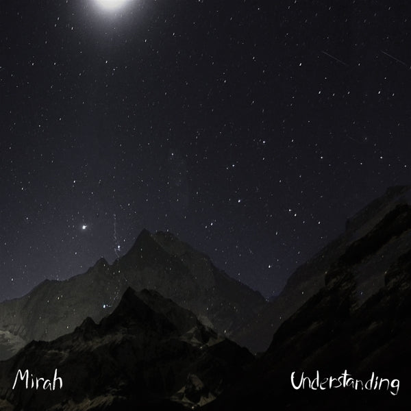 Mirah - Understanding |  Vinyl LP | Mirah - Understanding (LP) | Records on Vinyl