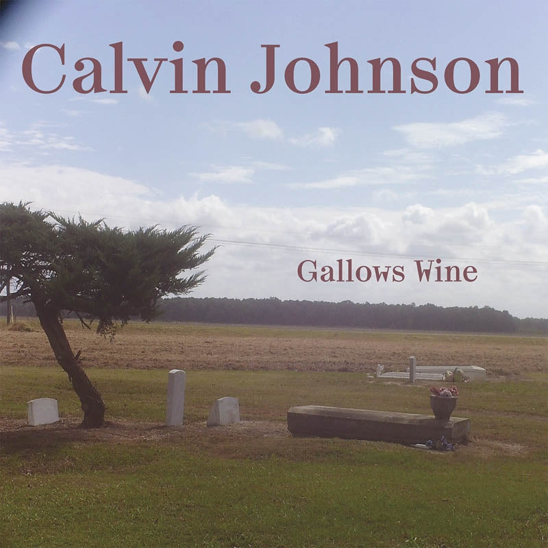  |  Vinyl LP | Calvin Johnson - Gallows Wine (LP) | Records on Vinyl