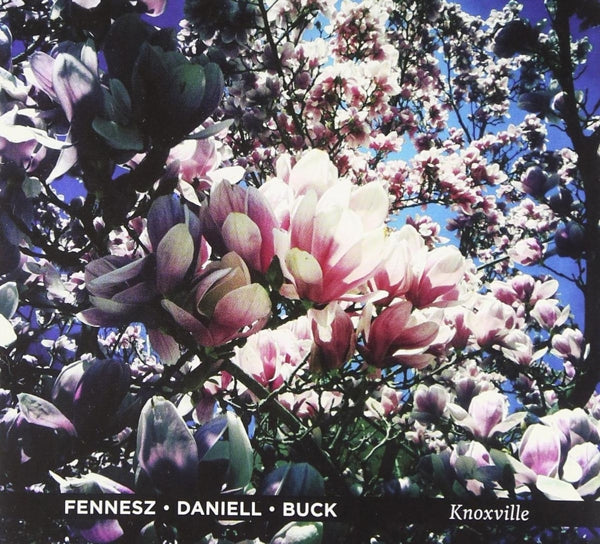  |  Vinyl LP | Fennesz/Daniell/Buck - Knoxville (LP) | Records on Vinyl
