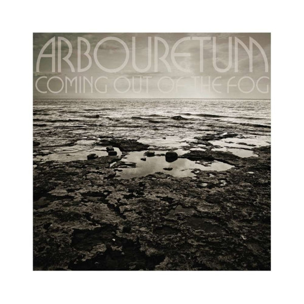 Arbouretum - Coming Out Of The Fog |  Vinyl LP | Arbouretum - Coming Out Of The Fog (LP) | Records on Vinyl