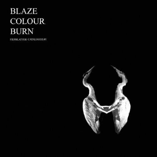 Jan Werner St. - Blaze Colour Burn |  Vinyl LP | Jan Werner St. - Blaze Colour Burn (LP) | Records on Vinyl