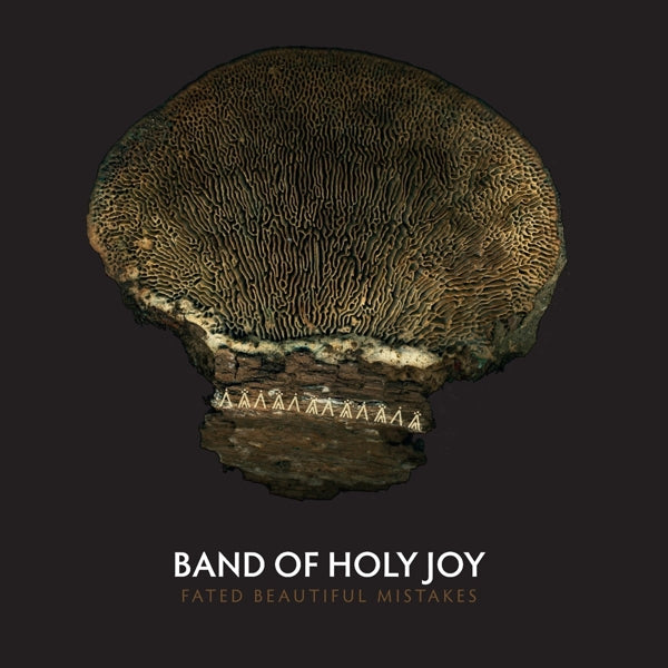  |  Vinyl LP | Band of Holy Joy - Fated Beautiful Mistakes (LP) | Records on Vinyl