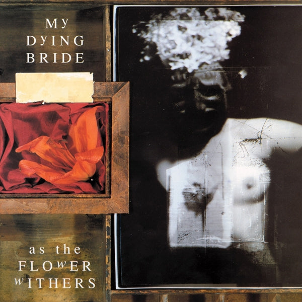  |  Vinyl LP | My Dying Bride - As the Flower Withers (LP) | Records on Vinyl