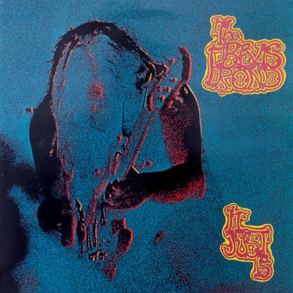 Bevis Frond - It Just Is |  Vinyl LP | Bevis Frond - It Just Is (2 LPs) | Records on Vinyl