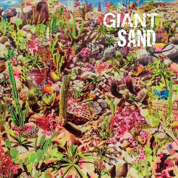  |  Vinyl LP | Giant Sand - Returns To Valley of  Rain (LP) | Records on Vinyl