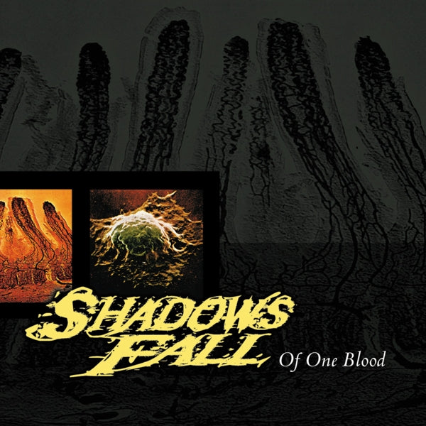 |  Vinyl LP | Shadows Fall - Of One Blood (LP) | Records on Vinyl