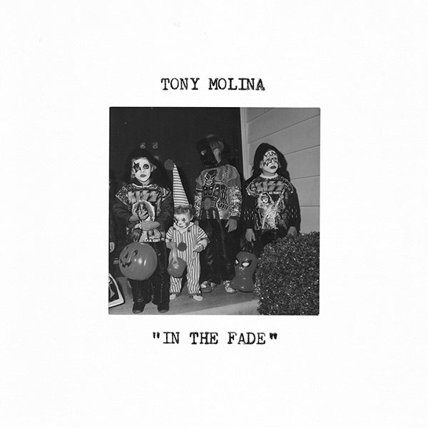  |  Vinyl LP | Tony Molina - In the Fade (LP) | Records on Vinyl