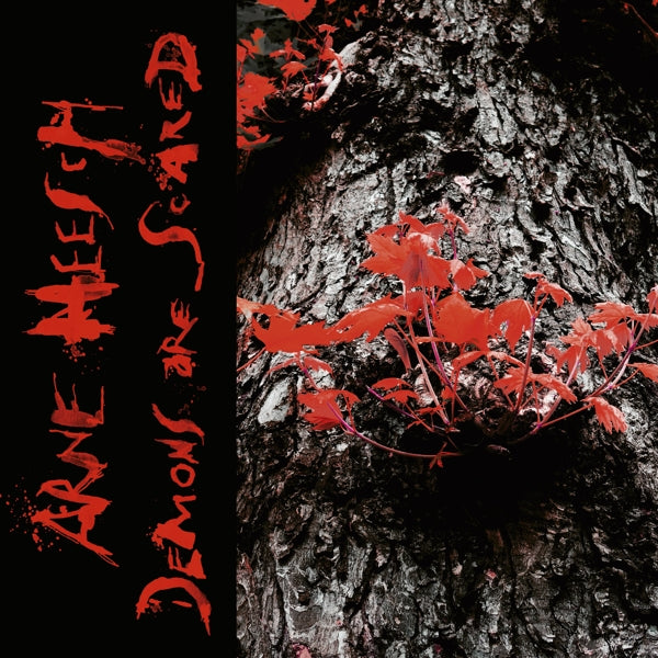  |  Vinyl LP | Arne Heesch - Demons Are Scared (2 LPs) | Records on Vinyl