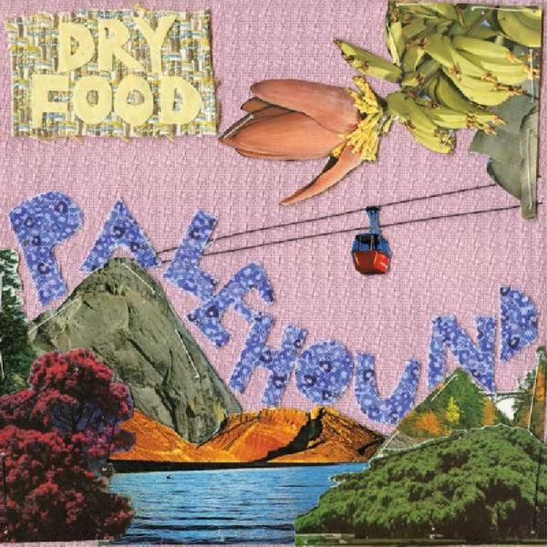  |  Vinyl LP | Palehound - Dry Food (LP) | Records on Vinyl