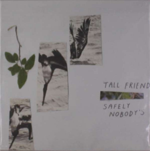 Tall Friend - Safely Nobody's |  Vinyl LP | Tall Friend - Safely Nobody's (LP) | Records on Vinyl