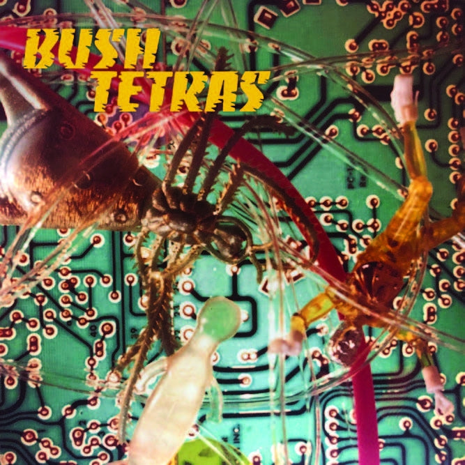  |  7" Single | Bush Tetras - There is a Hum (Single) | Records on Vinyl