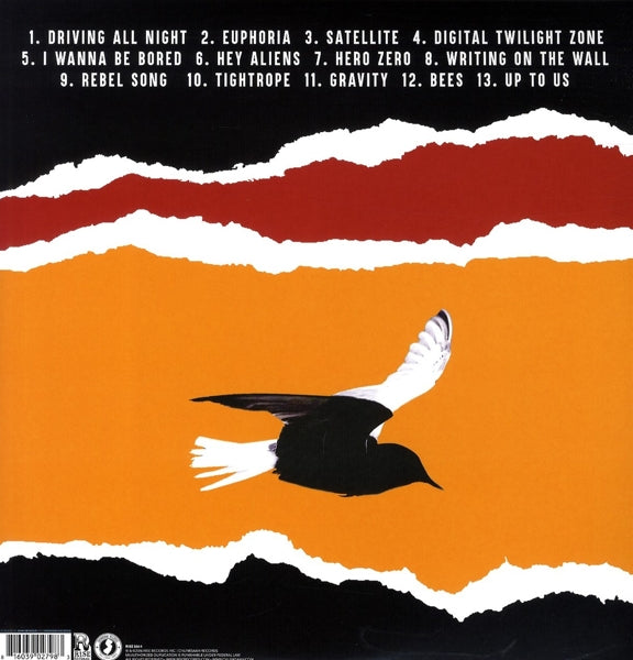 Bouncing Souls - Simplicity |  Vinyl LP | Bouncing Souls - Simplicity (LP) | Records on Vinyl