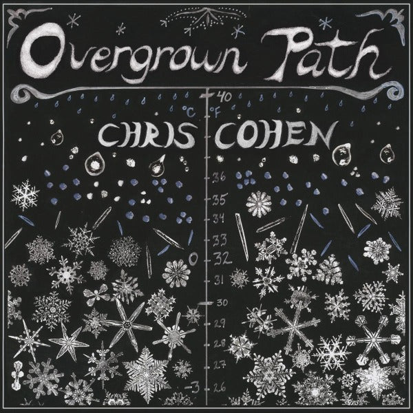 Chris Cohen - Overgrown Path |  Vinyl LP | Chris Cohen - Overgrown Path (LP) | Records on Vinyl