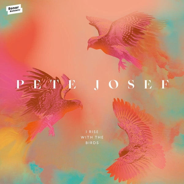 Pete Josef - I Rise With The Birds |  Vinyl LP | Pete Josef - I Rise With The Birds (2 LPs) | Records on Vinyl